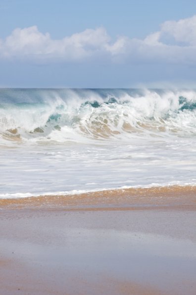 hawaii_08 3.jpg