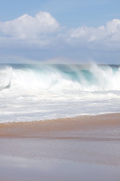 hawaii_08 4.jpg